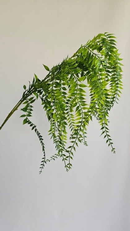 Рускус / Арт 4038