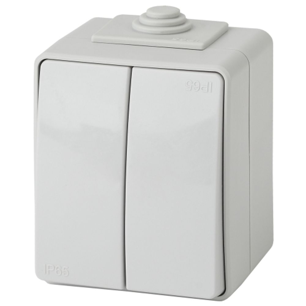 Выключатель ЭРА Эксперт 11-1604-03 двойной IP65 10АХ-250В ОУ серый | Эра Эксперт