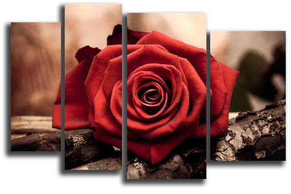 Модульная картина "Красный лепесток"