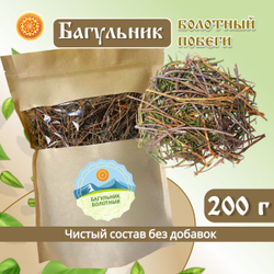 Багульник болотный побеги.