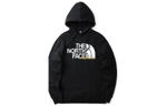 Худи THE NORTH FACE Logo, NF0A5JV6-JK3