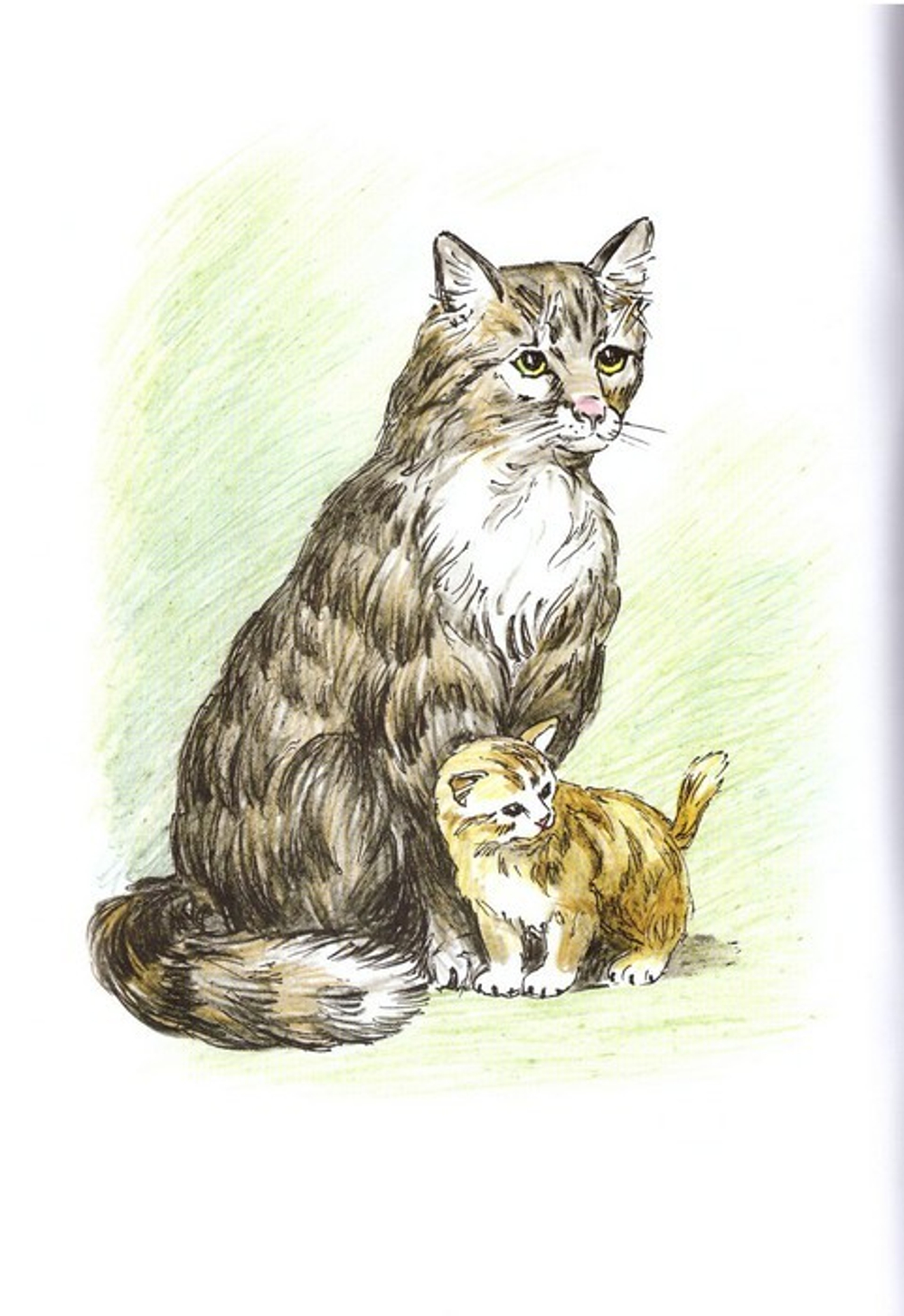 Альбом для раскрашивания полноцветный. Раскраски