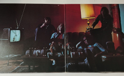 Винтажная виниловая пластинка LP Bad Company Run With The Pack (Japan 1976) (No Obi) ILS-80455
