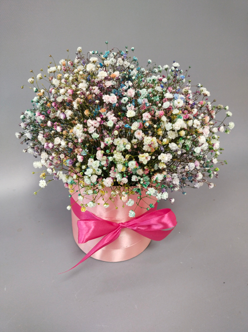 Радужная Коробочка