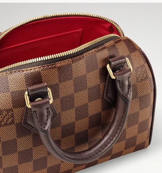 Сумка Louis Vuitton Speedy Damier Ebene