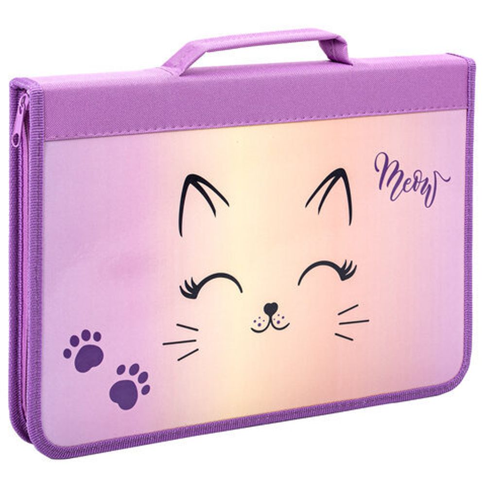 Папка на молнии BRAUBERG А4 с ручкой, с органайзером, 1 отделение, "Cheerful", 271448