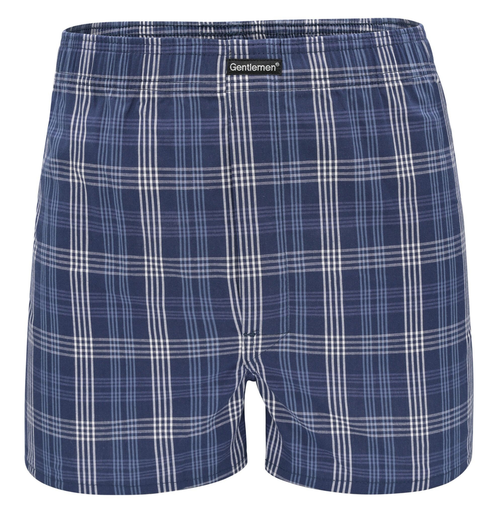 Синие хлопковые трусы-боксеры в клеточку (Размер: XXL) (Цвет: разноцветный)