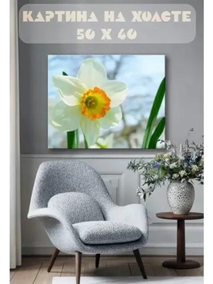 Картина на стену 40 X 50 Нарцисс