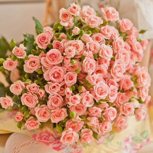 Купить Розы кустовые в ассортименте от 7шт