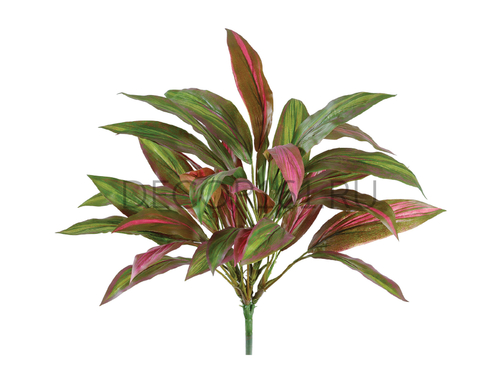 Драцена бордово-зёленая куст в-40 см (30 листов) (Sensitive Botanic) 12/96 20.1120N