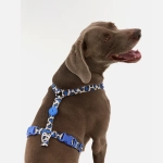 Анатомическая шлейка Midnight Safari