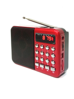 Радиоприемник цифровой с MP3 плеером NGY C3