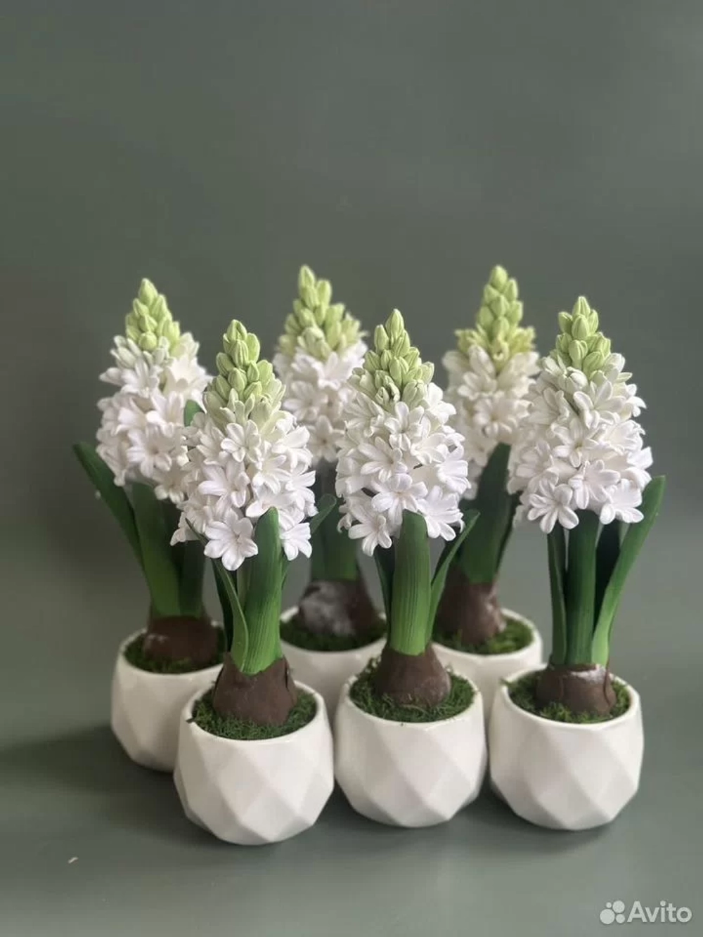 Гиацинт в подарок к празднику