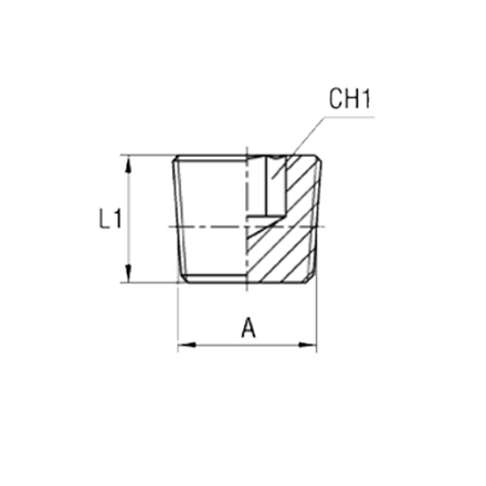 Заглушка NPT 1.1/4" CAST