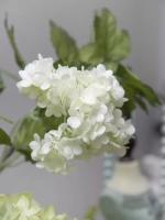 Композиция в ящике "Осенний сад"