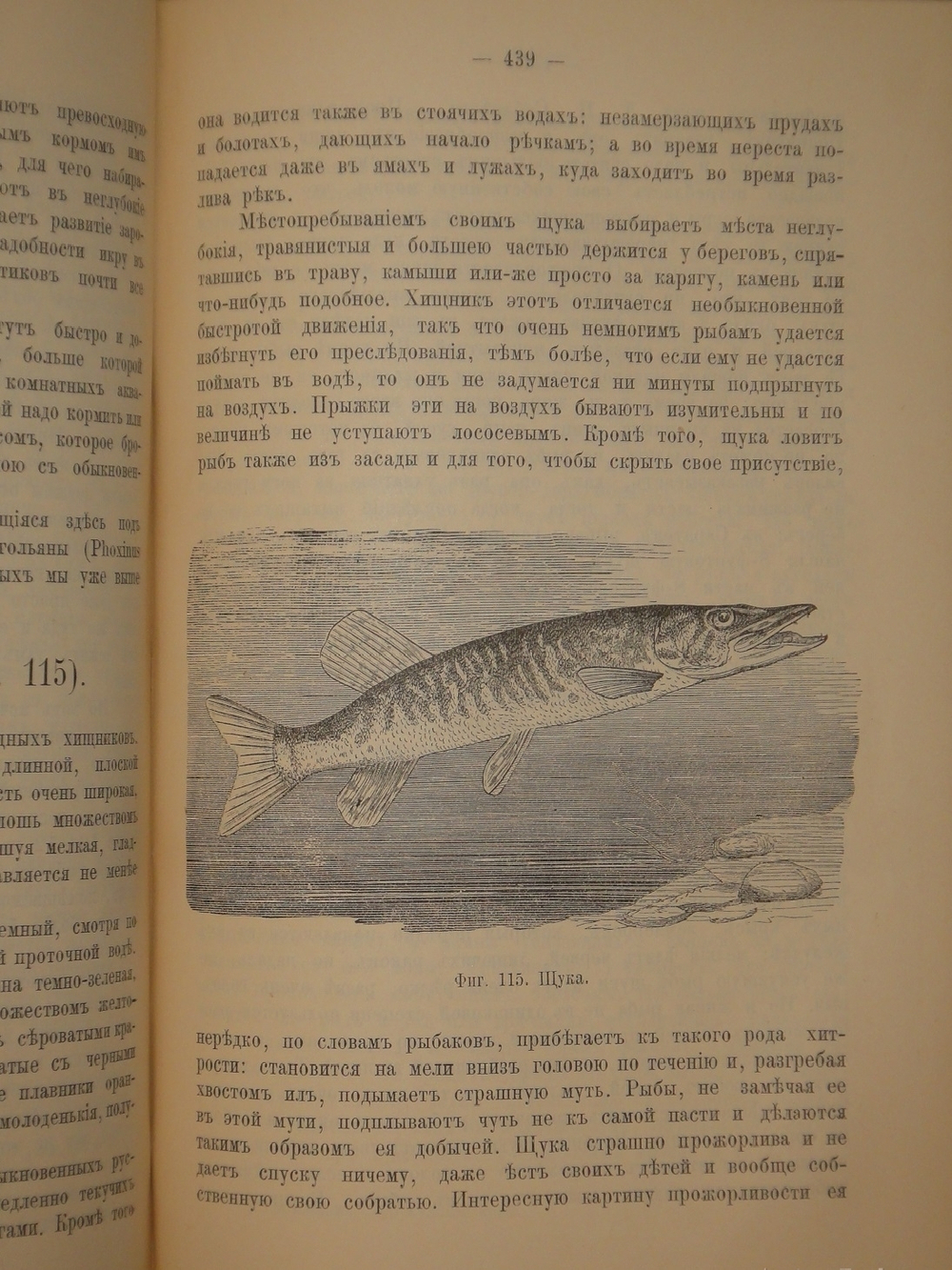 "Аквариум любителя. Подробное описание флоры и фауны аквариума, устройство аквариума, уход за ним и пр.". Н.Ф.Золотницкий. 1890г.