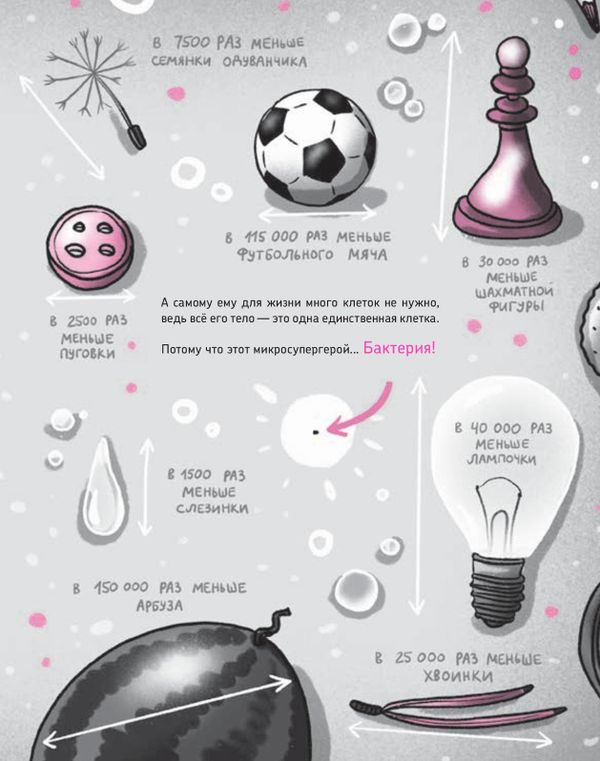 Микросупергерои. Самые полезные