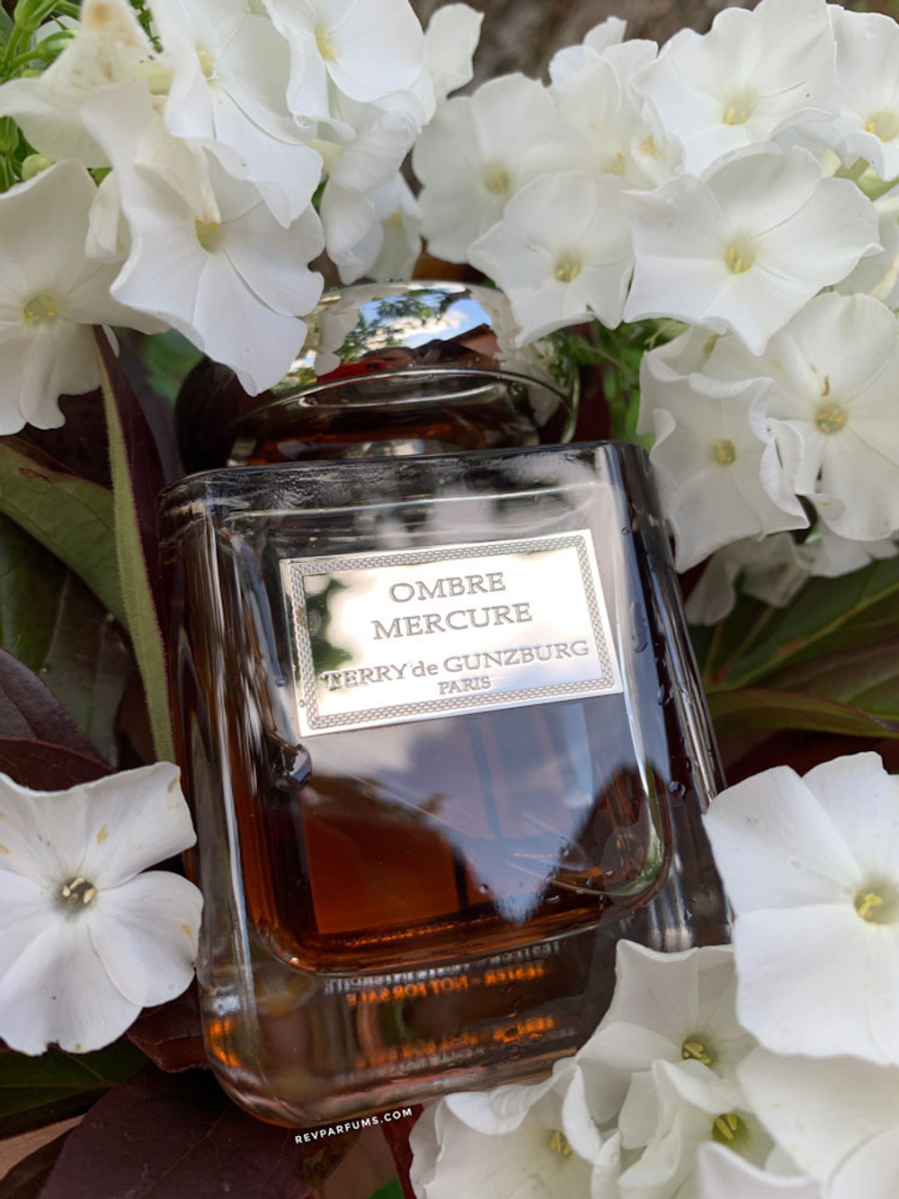 Terry de Gunzburg Ombre Mercure