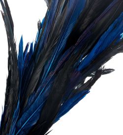 Decor and Gift 14-065 Декоративный веничек из перьев (о. Бали)