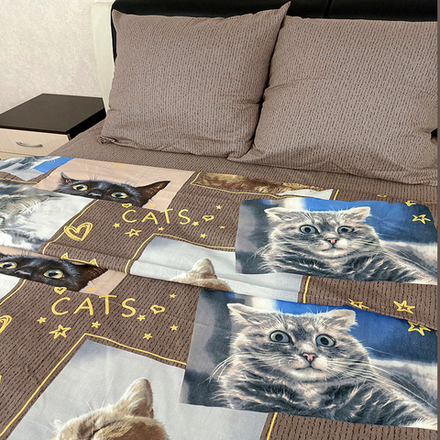 Комплект постельного белья "IS. ЗАМУРЧАТЕЛЬНАЯ ЖИЗНЬ", бязь Премиум, 100% хлопок.