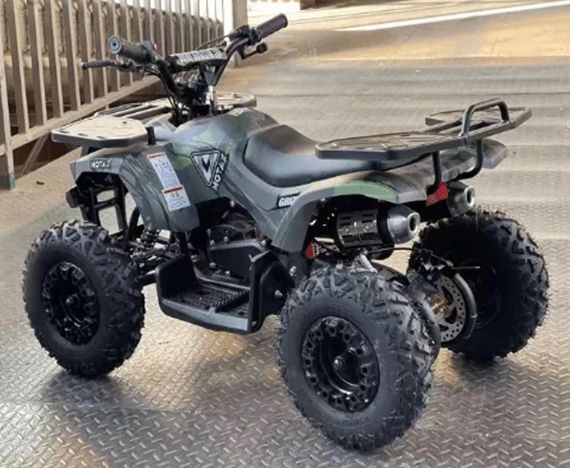 Электроквадроцикл MOTAX GRIZLIK X16 NEW E1000 BW