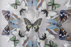 Панно настенное 40х40см Tomas Stern 83040