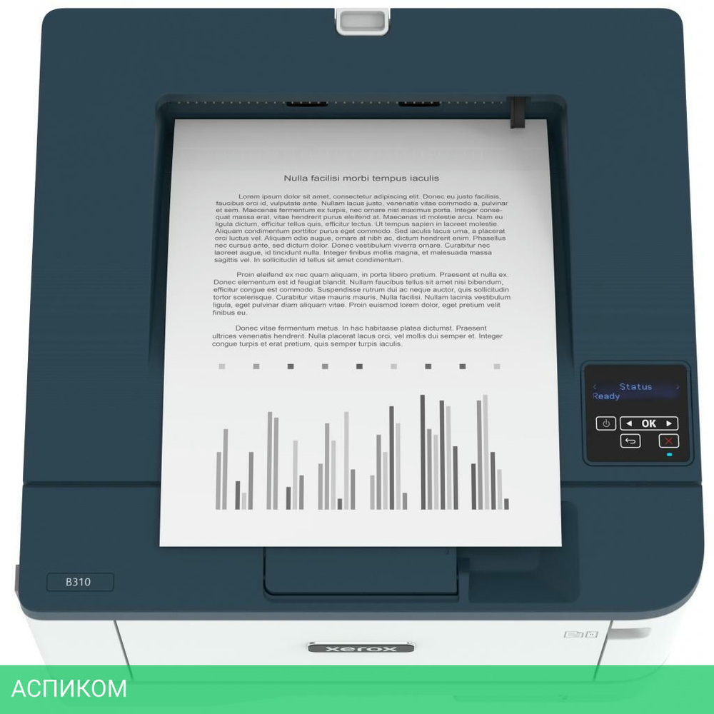 Принтер Xerox B310V_DNI