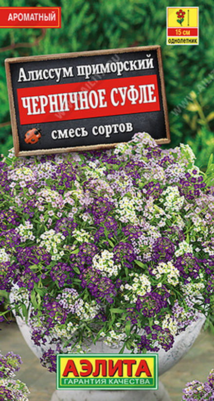 Алиссум Черничное суфле, смесь сортов 0,05гр Аэлита