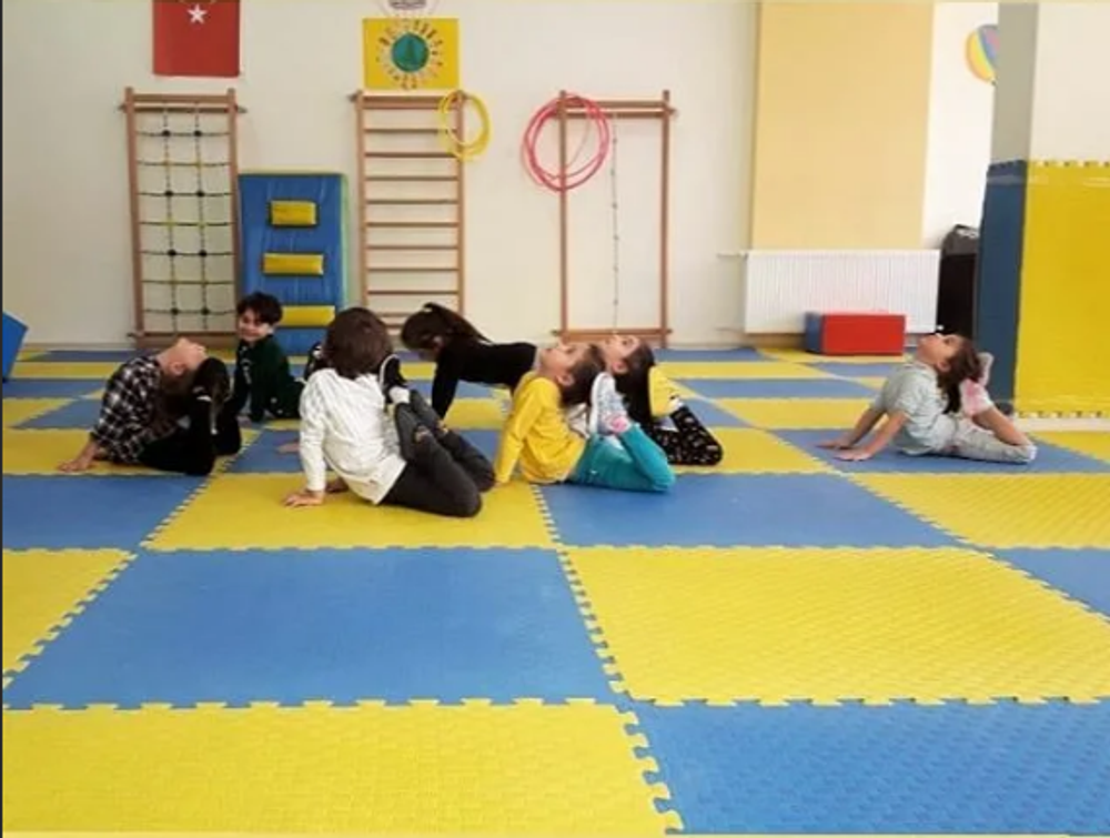 Будо-маты (татами) Экополимеры (1 плита 100х100х4см, 1кв.м./уп) "Сине-желтый"