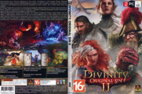 Divinity: Original Sin 2