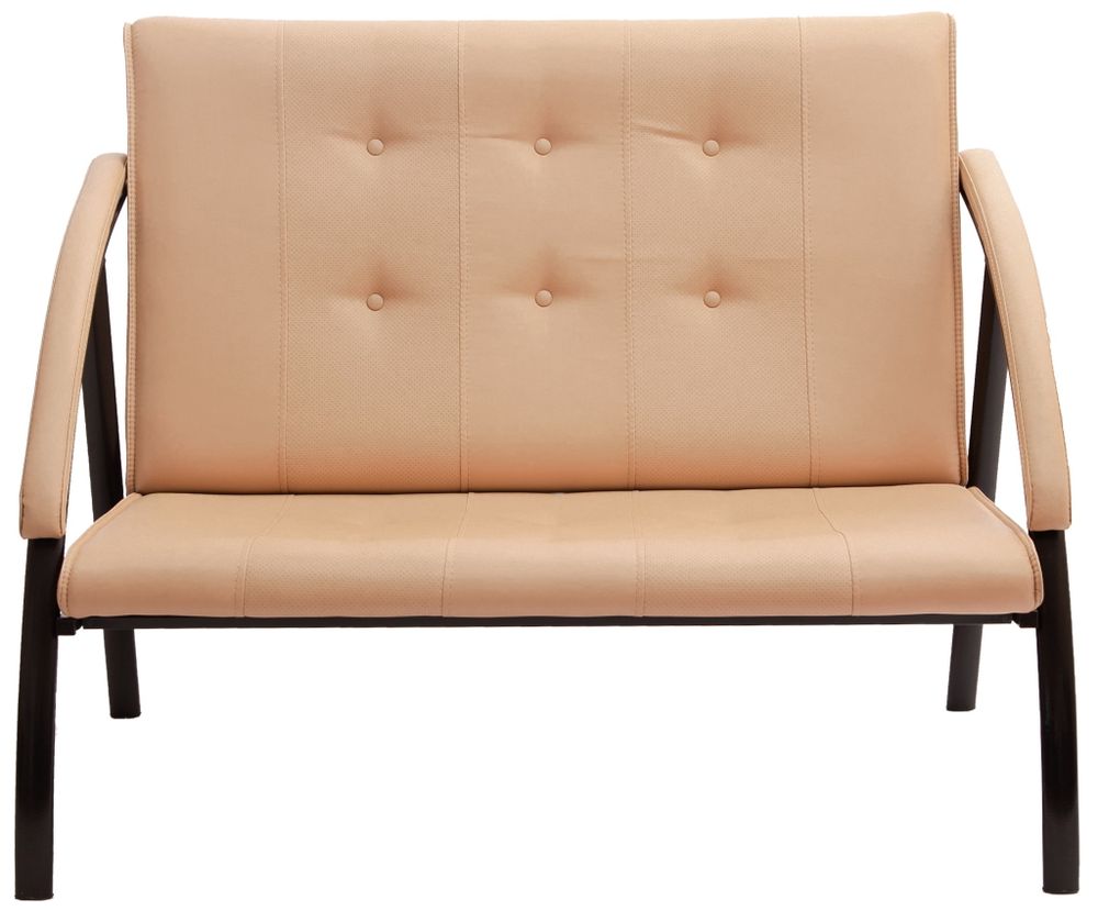 Диван Фортуна 5 (20) 2-х местный эконом к/з