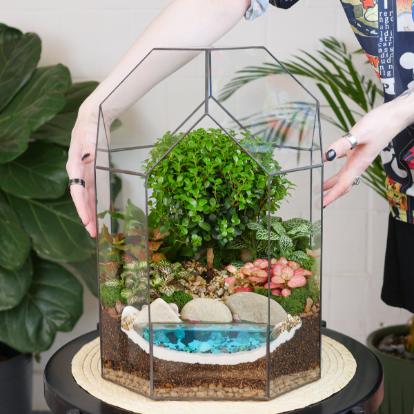 Готовый флорариум бонсай Мирсина Бонсариум XL с озером