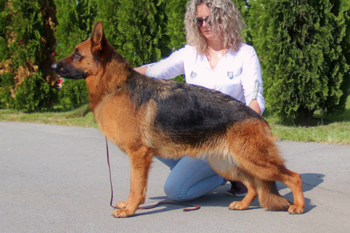 Адерхайден Хоф ИСКРА