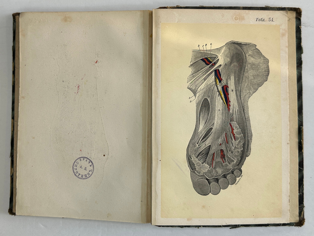 Пирогов Н. Атлас "Анатомия артериальных стволов и фиброзных фасций", 1837г. Дерпт, 54 л. цв. таб.
