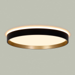 Потолочный светодиодный светильник Citilux Etalon CL750321R