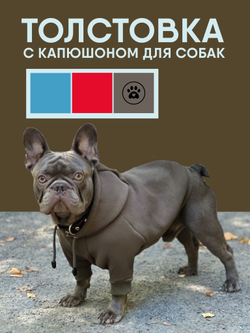 Толстовка для собак пород французского бульдога, мопса, голубой,M