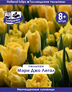 Тюльпан Луковица, Мэри Джо Легал, 8+ шт
