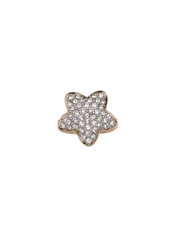 Кольцо "Эйлера"