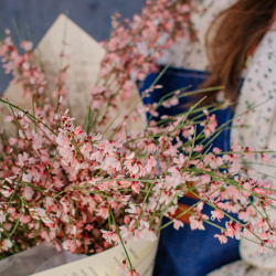 154. Весенний букет из ароматной генисты