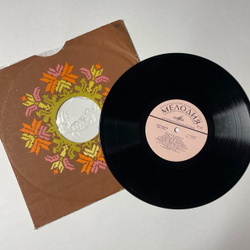 Винтажная виниловая пластинка LP Екатерина Шаврина Тополя 10 дюйомв (СССР 1968)