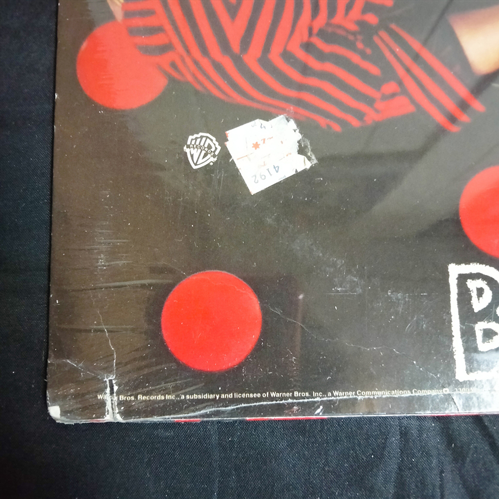 Rod Stewart / Foolish Behaviour (LP)