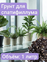 Грунт для Спатифиллума, 2 литра