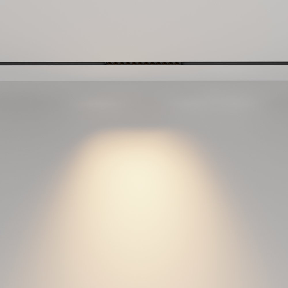 Магнитный трековый светильник Maytoni Points TR031-2-12W2.7K-B