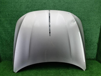 Капот Hongqi H9 (2020-н.в.)