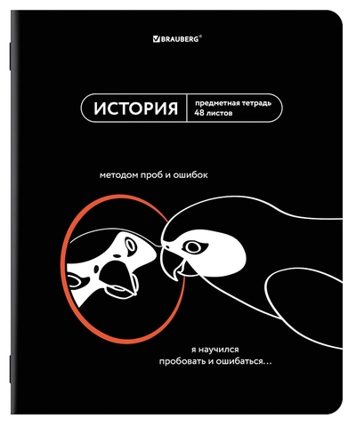 Тетрадь предмет. А5 48л. клетка "Мемы" История twin лак, подсказки (BRAUBERG)
