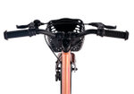 Maxiscoo JAZZ Pro 18'' (2025)