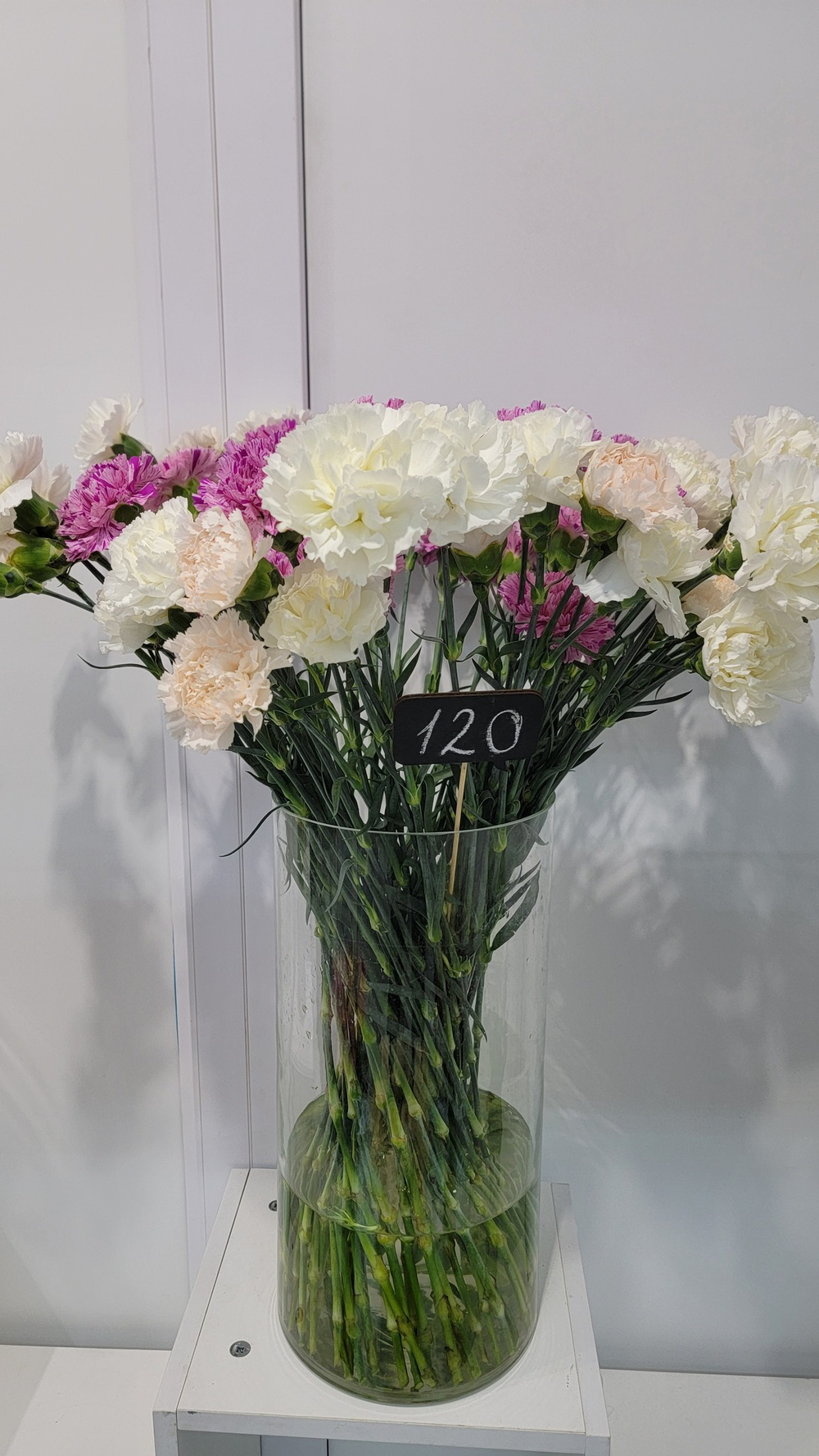 Гвоздика Carnation Peach Brut