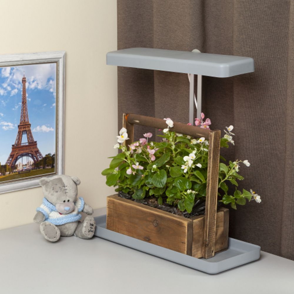 Настольный светильник для растений ЭРА FITO-20W-QLED-G полного спектра 20 Вт серый | Интерьерные фито светильники