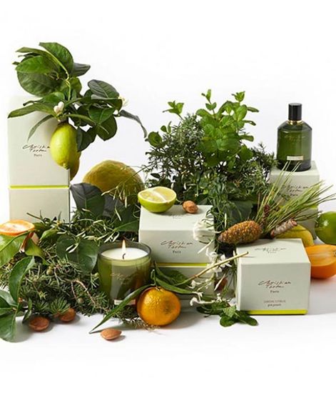 Заповедный лес, сменный аромат для аромадиффузора, Christian Tortu