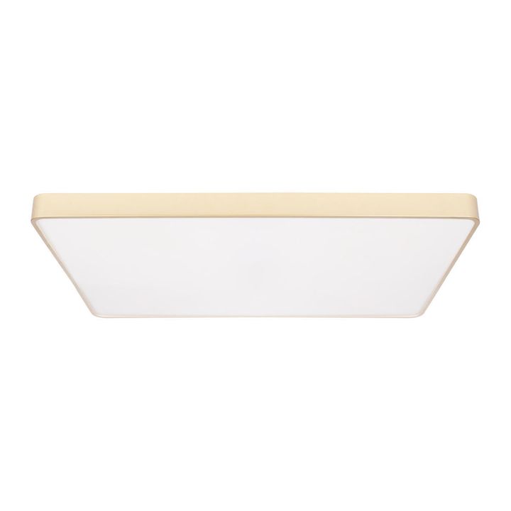 Потолочный светодиодный светильник Loft IT Flims 10228/E